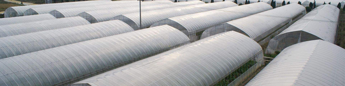 1548402602425153.jpg s1.jpg