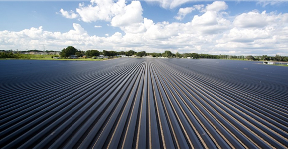 1550805503733132.jpg s3.jpg